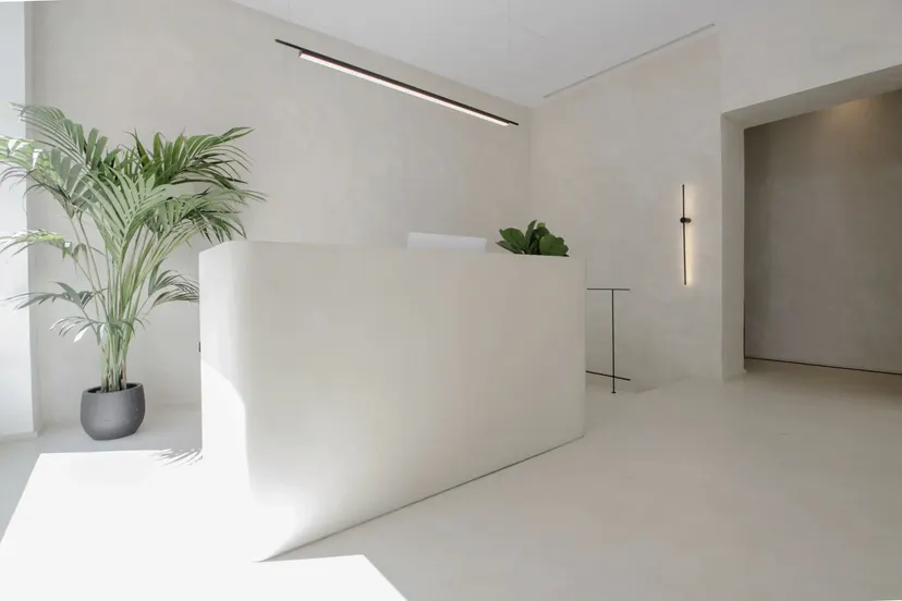 A white reception desk in Marmorino lime plaster, one corner softly rounded, under a slim pendant light and beside a tall potted palm, in a bright, minimal reception area