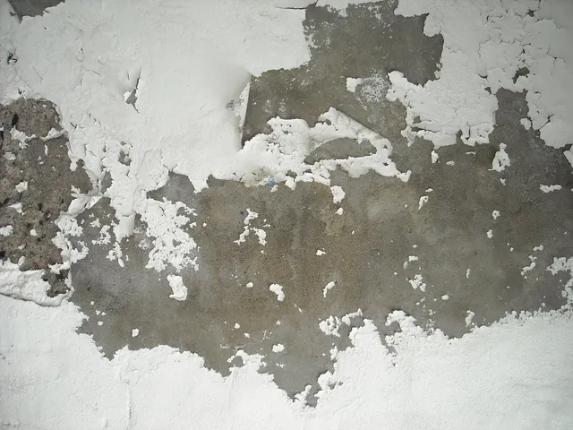 White paint flaking away in large patches from a gray concrete wall