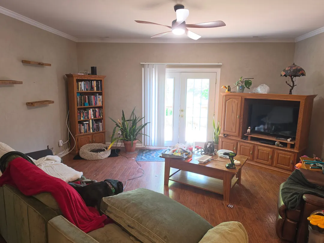 Warm mushroom Roman clay walls with a bookcase and French doors, in a Zionsville living room