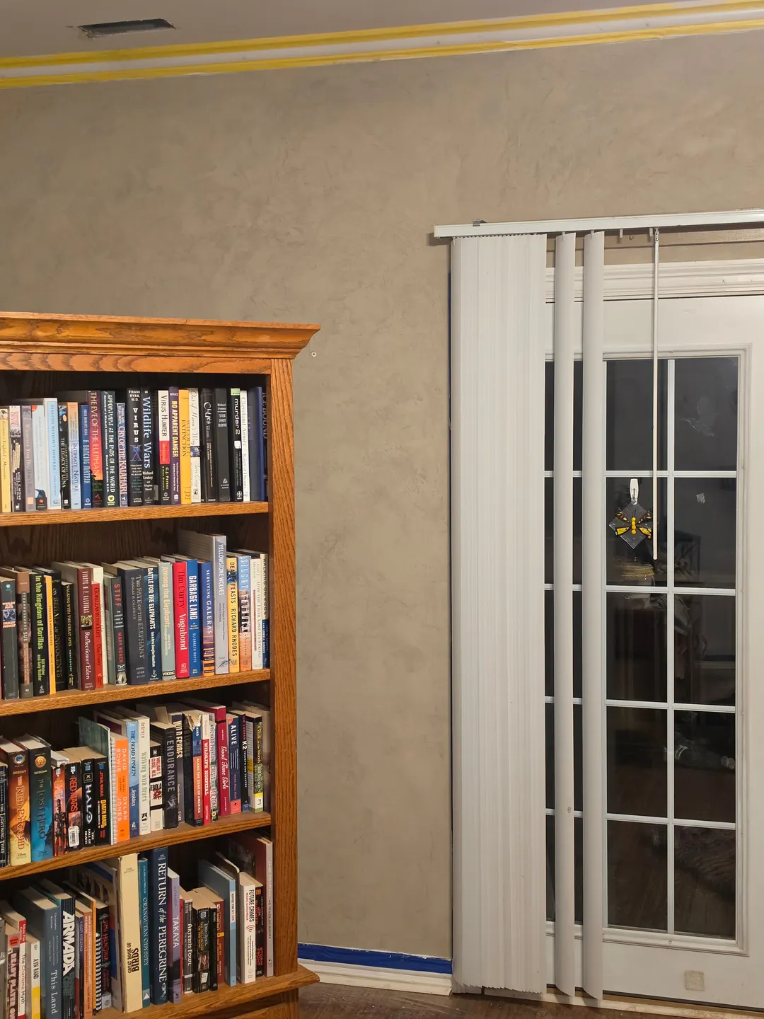 Warm mushroom Roman clay on the wall between a full bookcase and French doors